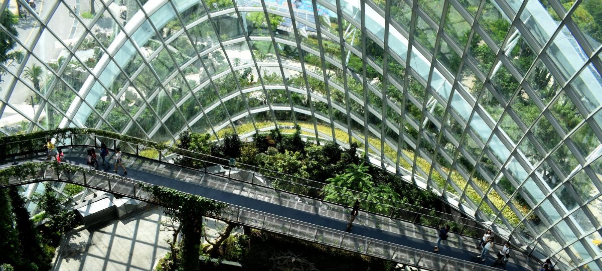 Le Cerema et Efficacity lancent le label Ville Durable et Innovante Une passerelle surplombe des plantes et arbres
