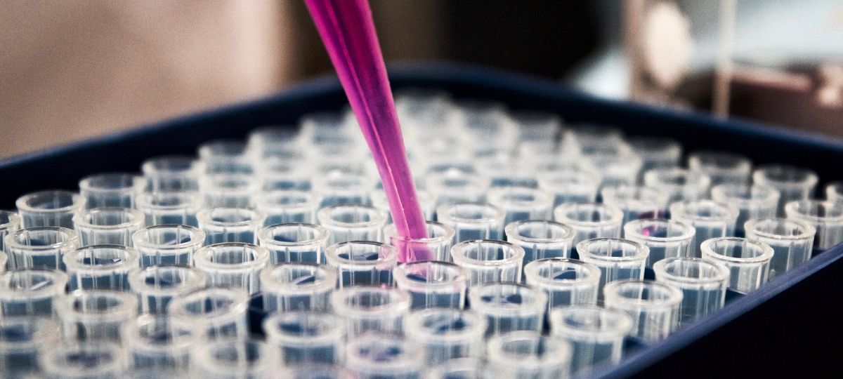 Un vaccin contre la grippe créé à l’aide de l’intelligence artificielle Une pipette met un liquide violet dans des fioles