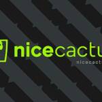 Logo de Nicecactus