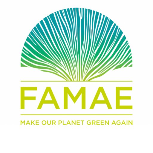 Logo FAMAE