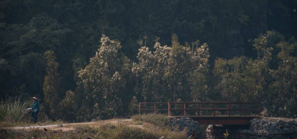Photo d'une forêt avec une personne qui se promène en vélo