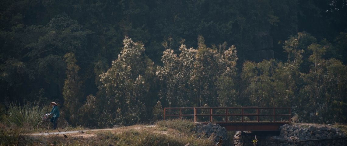 Photo d'une forêt avec une personne qui se promène en vélo
