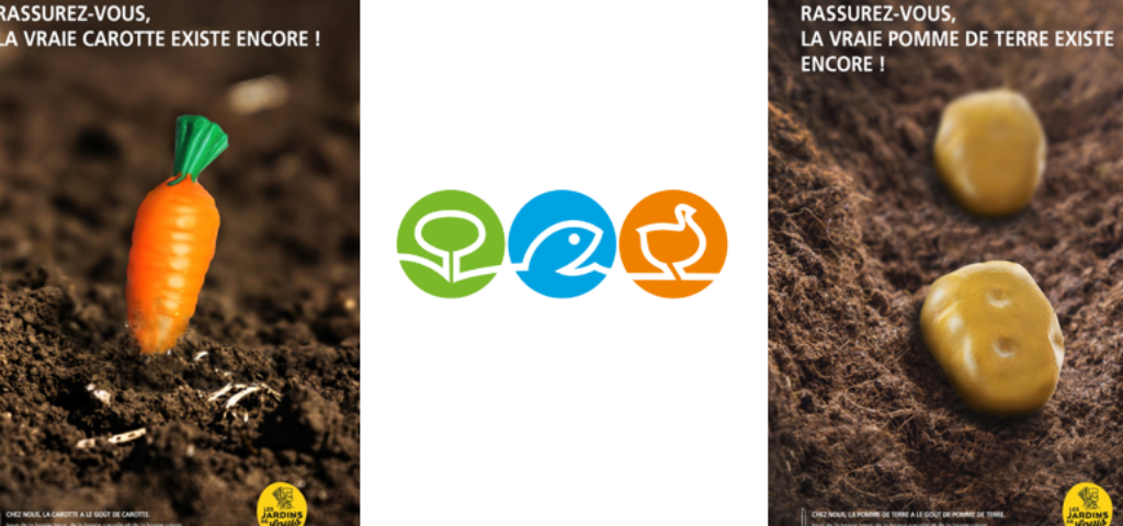 Visuel de faux légumes planté en pleine terre