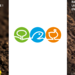 Visuel de faux légumes planté en pleine terre