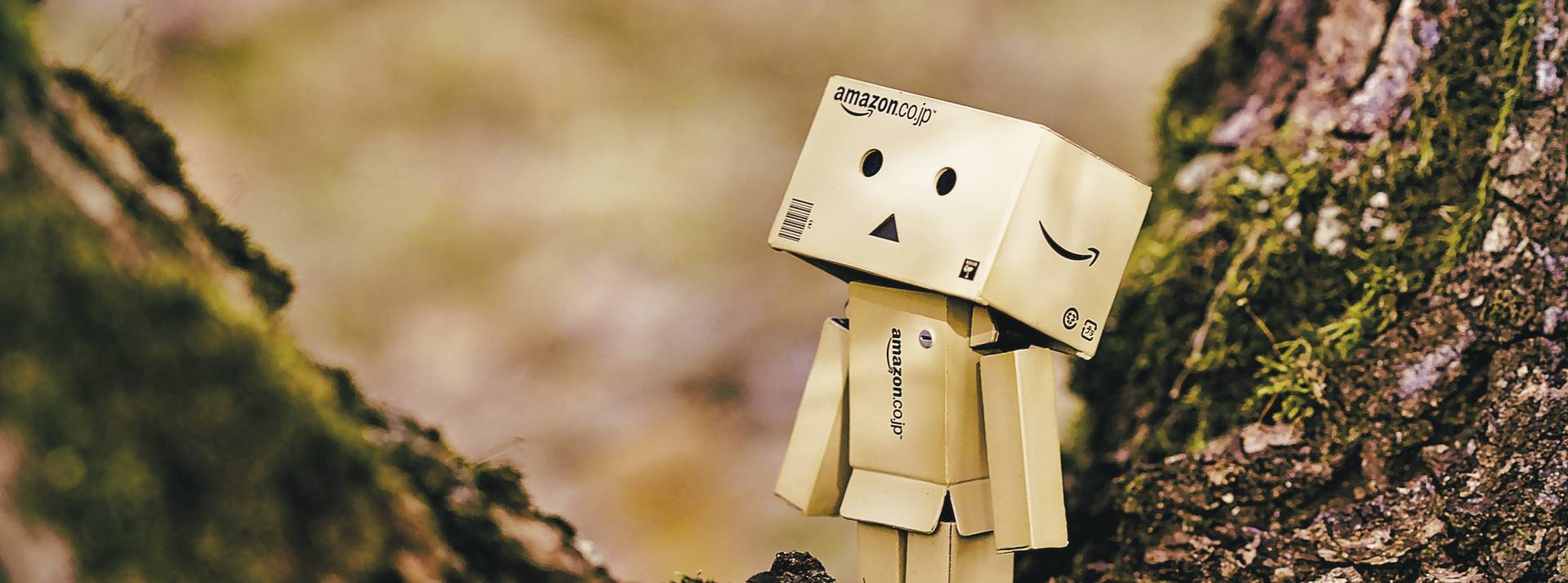 Amazon France annonce l’automatisation des dons d’invendus pour 2020 Petit bonhomme dans le creux d'un arbre réalisé avec des cartons Amazon