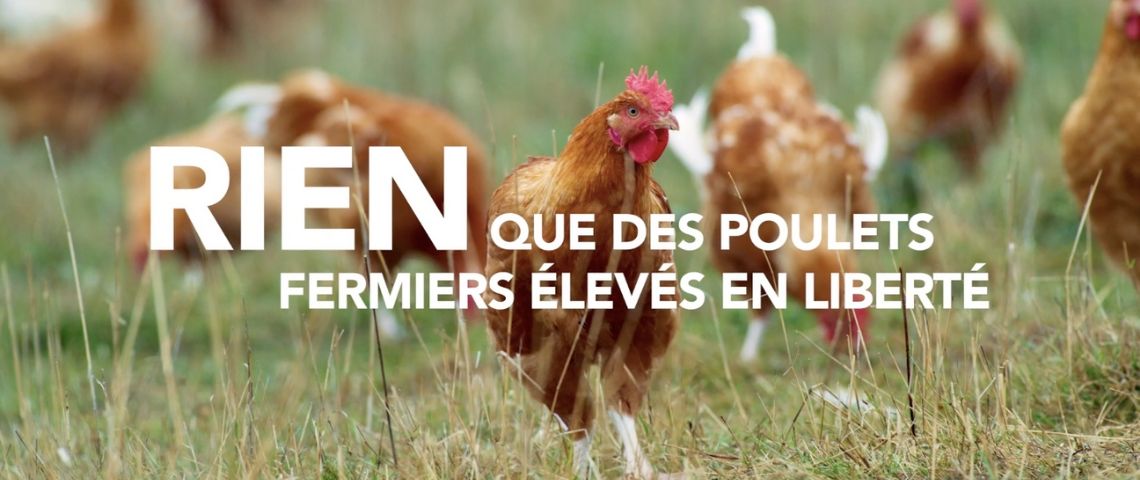 Campagne de communication de l'agence Josiane pour Loué, Ca fait 60 ans qu'on ne fait rien Poulets en liberté avec le message : Rien des poulets élevès en liberté