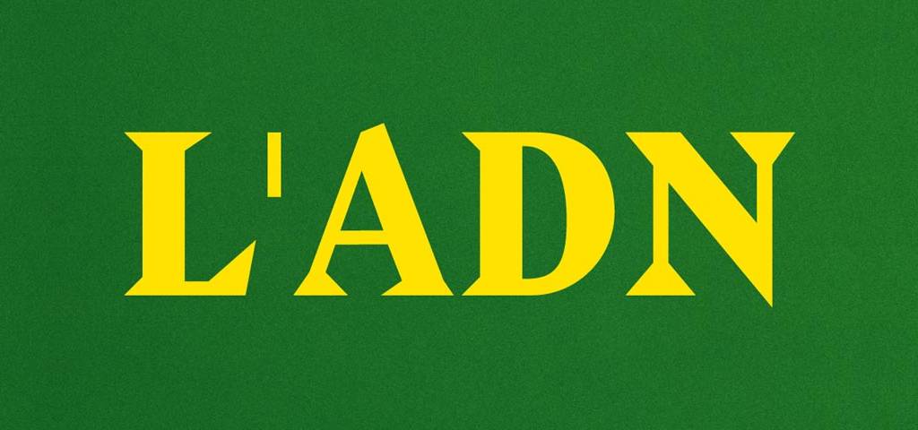 le logo en jaune sur fond vert