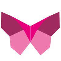 LES PAPILLONS DE JOUR