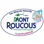 SOCIETE DES EAUX DE MONT ROUCOUS