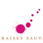 LES FRAISES SAUVAGES