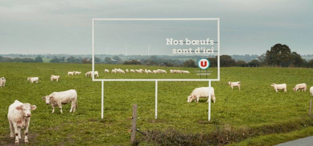 Panneau transparent qui laisse b=voir les boeufs qui sont dans le champ derrière, avec l'inscription : Nos Boeufs sont d'ici