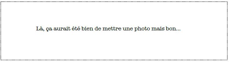Là ca aurait été bien de mettre une photo, mais bon...
