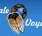 CIGALE VOYAGES