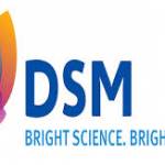 DSM FRANCE