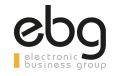 ELECTRONIC BUSINESS GROUP