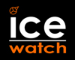 ICE FRANCE