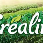 CREALINE