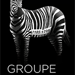 GROUPE ZEBRA