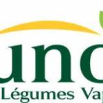 LUNOR DISTRIBUTION