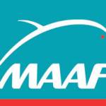 MAAF ASSURANCES SA