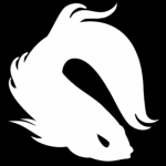 FIGHTING FISH
