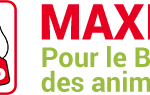 MAXI ZOO FRANCE