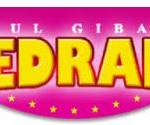 PRODUCTION ARENA (CIRQUE MEDRANO)
