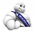 COMPAGNIE GÉNÉRALE DES ÉTABLISSEMENTS MICHELIN