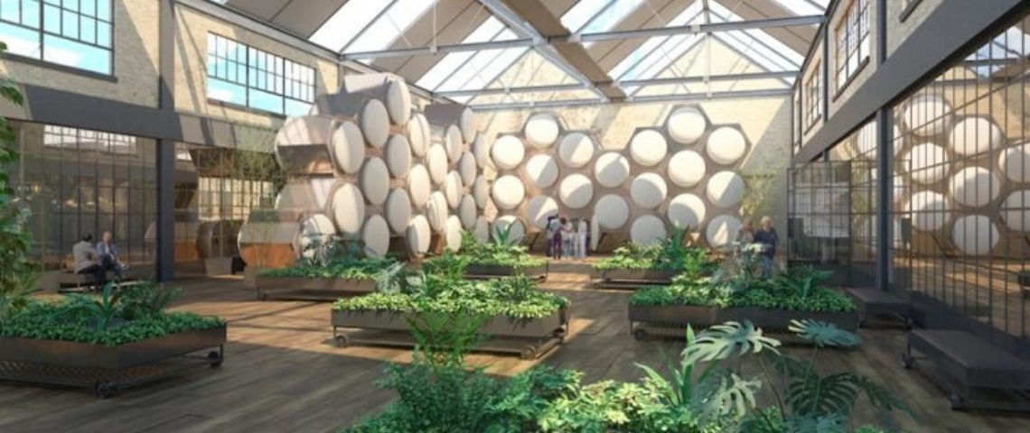 La première installation de compostage d’humains ouvrira ses portes en 2021 Récipients de recomposition hexagonaux