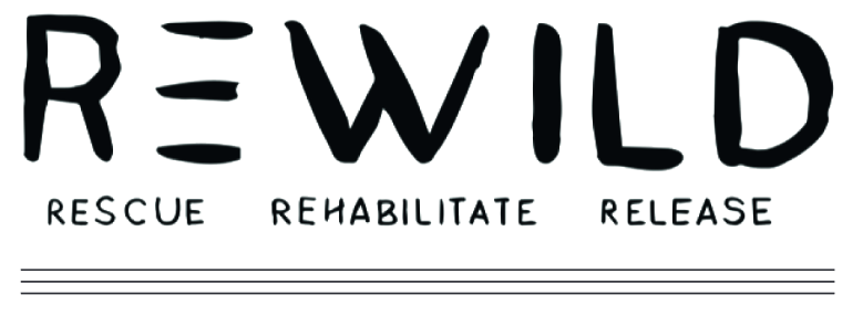 Logo Rewild