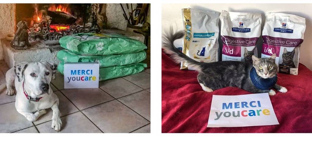 2 photos de chien avec à côté d'eux des sacs de croquettes et une pancarte : merci YouCare