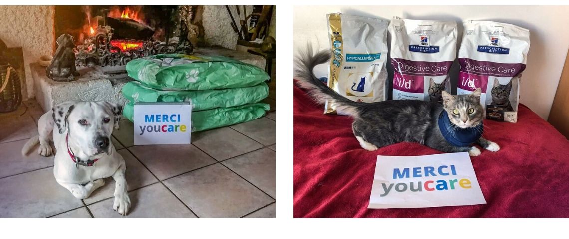 YouCare le moteur de recherche qui nourrit les animaux abandonnés 2 photos de chien avec à côté d'eux des sacs de croquettes et une pancarte : merci YouCare