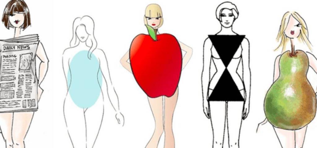 Visuel avec les différents types de morphologies