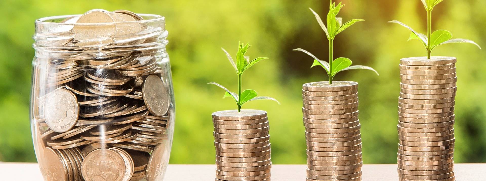 Baby vc : le premier bootcamp français dédié au Venture Capital à destination de ceux qui aspirent à rejoindre ce milieu Piece de monnaire avec une petite plantye qui pousse sur le dessus