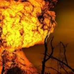 Incendies dans une fôret