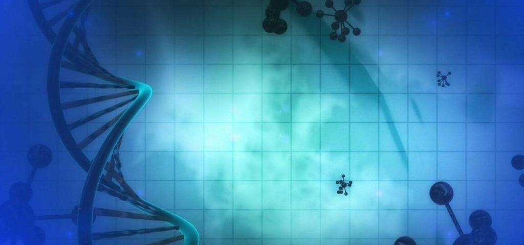 Adn et cellules
