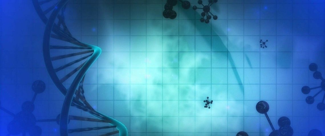 Adn et cellules