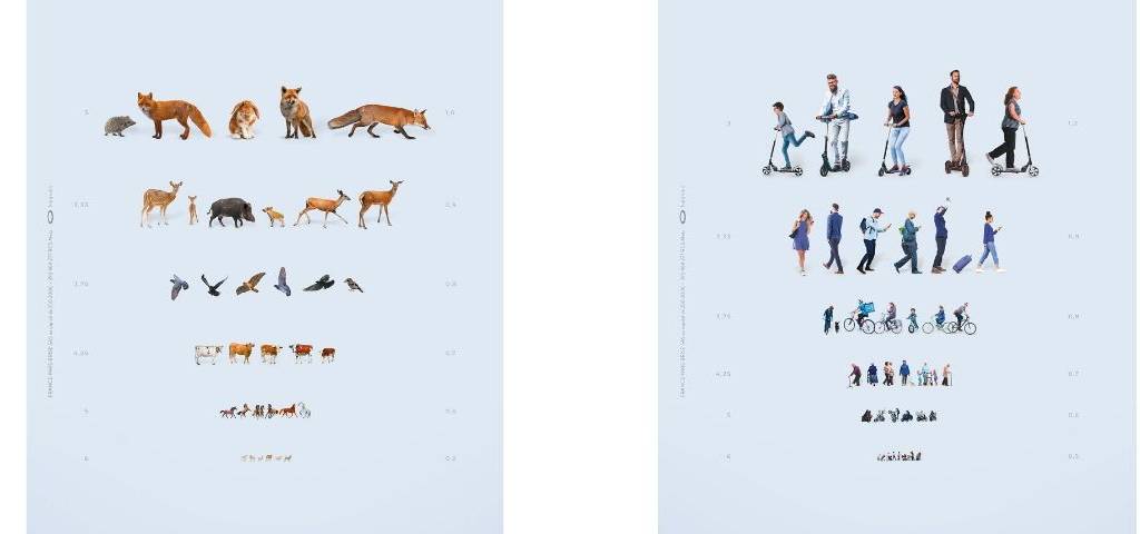 Visuel de la campagne France Pare-Brise