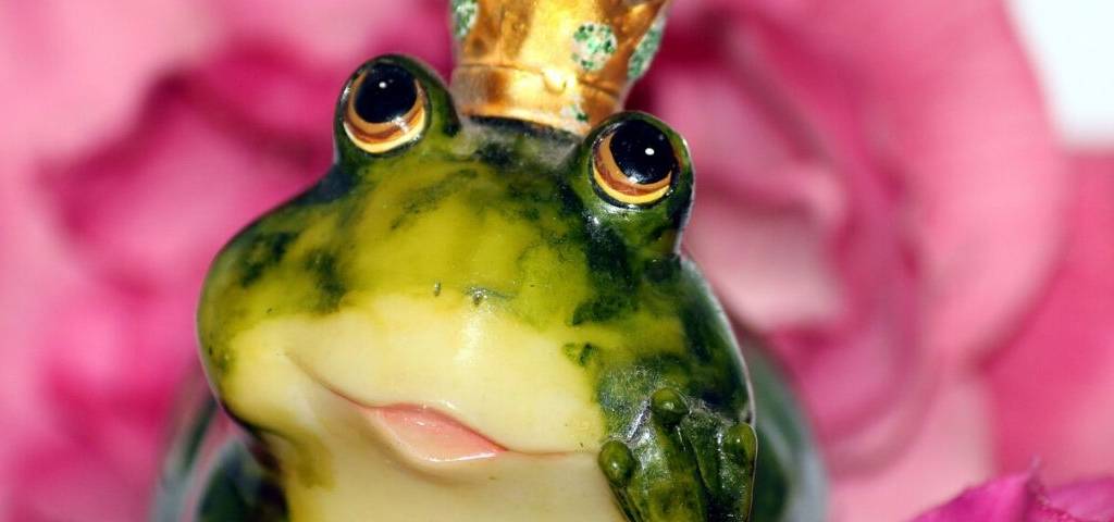 Photo d'une grenouille avec une couronne sur sa tête