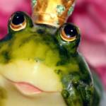 Photo d'une grenouille avec une couronne sur sa tête