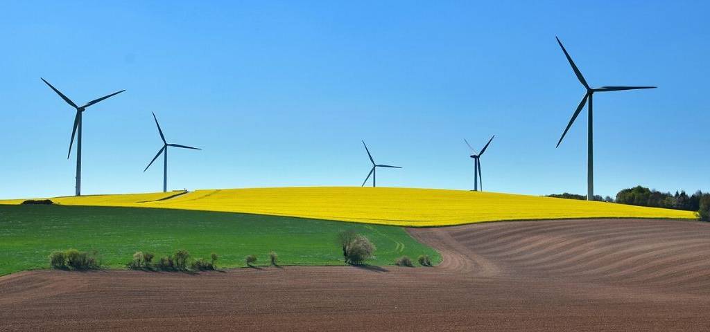 Champ avec des éoliennes dans le fond