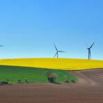 Champ avec des éoliennes dans le fond
