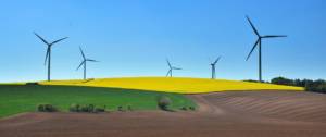 Champ avec des éoliennes dans le fond