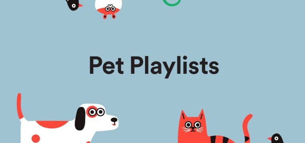 Capture d'écran de l'interface Pet Playslits