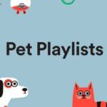 Capture d'écran de l'interface Pet Playslits