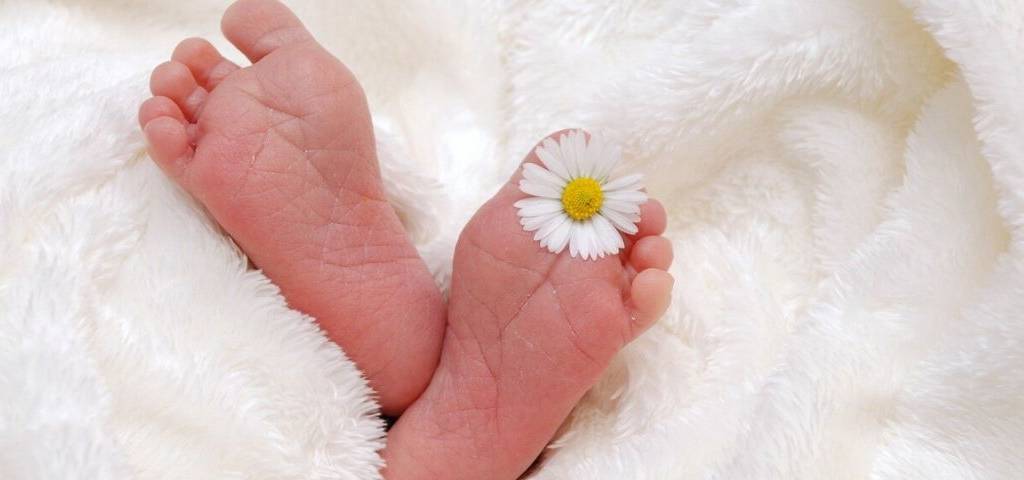Pied de bébé, avec une marguerite entre les orteils du pied droit