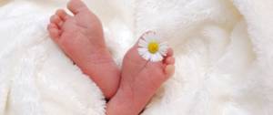 Pied de bébé, avec une marguerite entre les orteils du pied droit