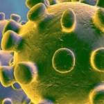 Bouteille de Corona entourée de virus