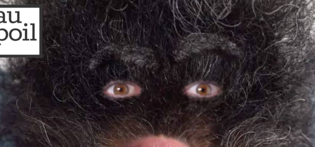 Capture d'écran de la campagne, avec une barbe qui a des yeux