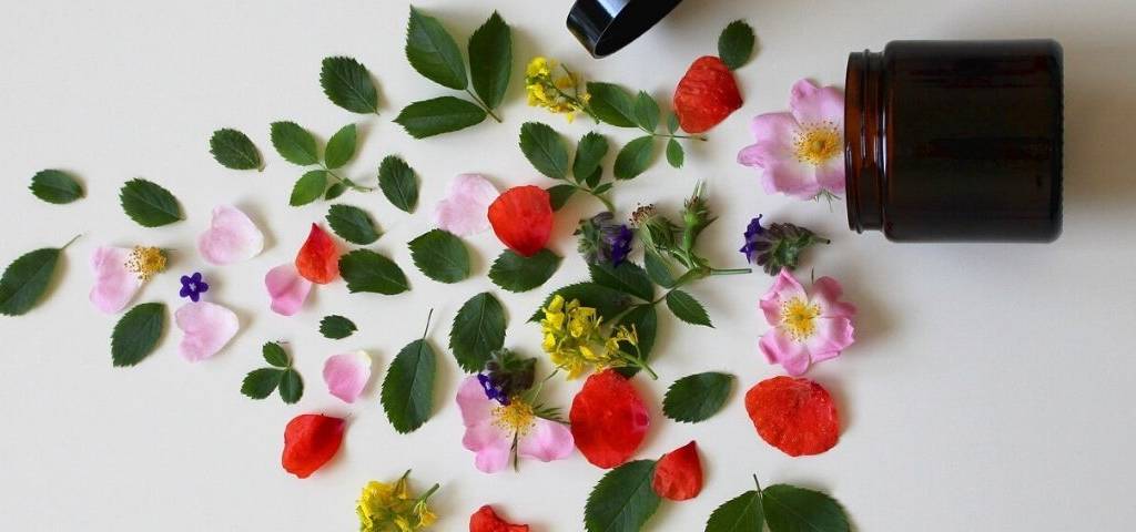 Fleurs